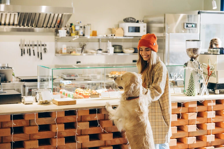Buon appetito cuccioli, a Parigi spopolano i caffè 'dog-first'