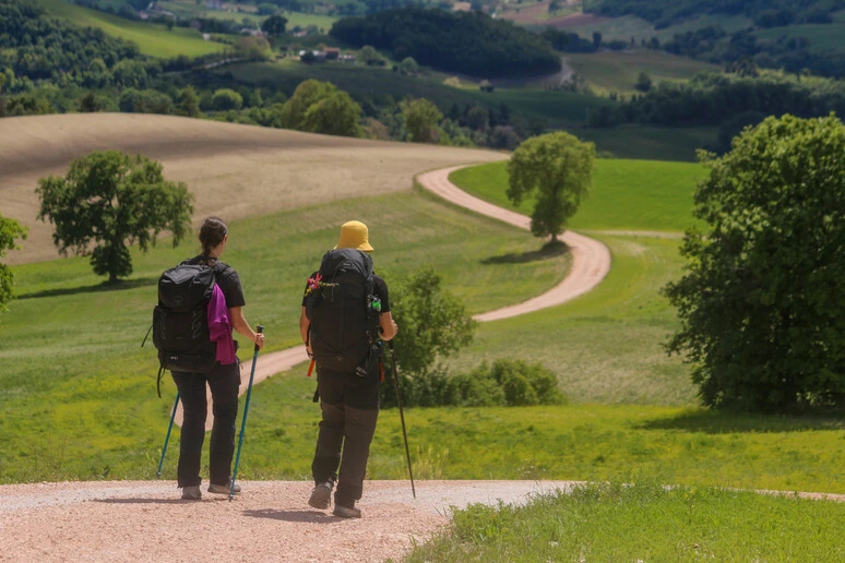 Il Cammino dei Cappuccini celebra gli 800 anni di san Francesco