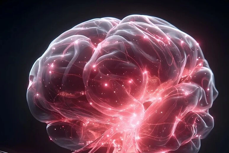Trovata la regione del cervello che fa predicare bene e razzolare male