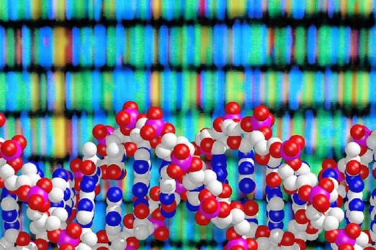 Il libro del Dna online 25 anni fa, da allora una valanga di risultati