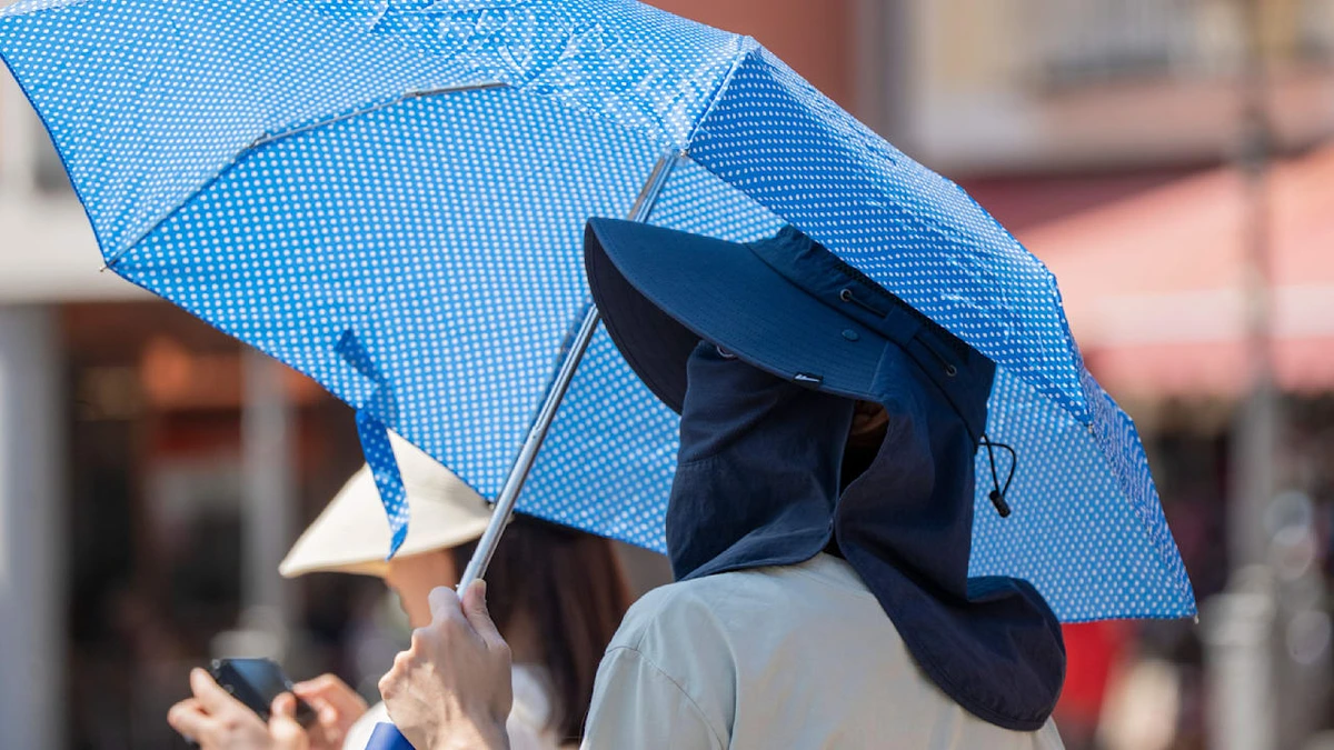Hitzewelle in Deutschland: Heute bis zu 40 Grad möglich