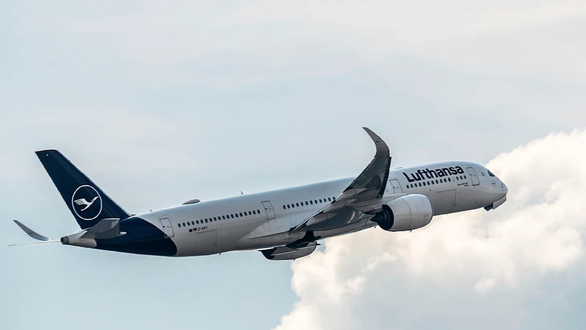 WM 2026: DFB-Stars im Flieger! An Bord gibt’s rote Rosen & Riesengarnelen