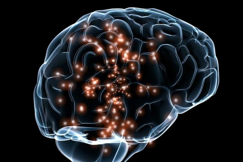 Nel cervello le tracce dei traumi vissuti nell'infanzia
