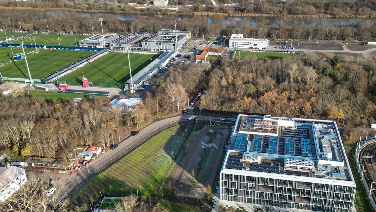 Bundesliga: Grüne kämpfen um 30 Tierarten! Waldstück sorgt für Ärger rund um RB Leipzig