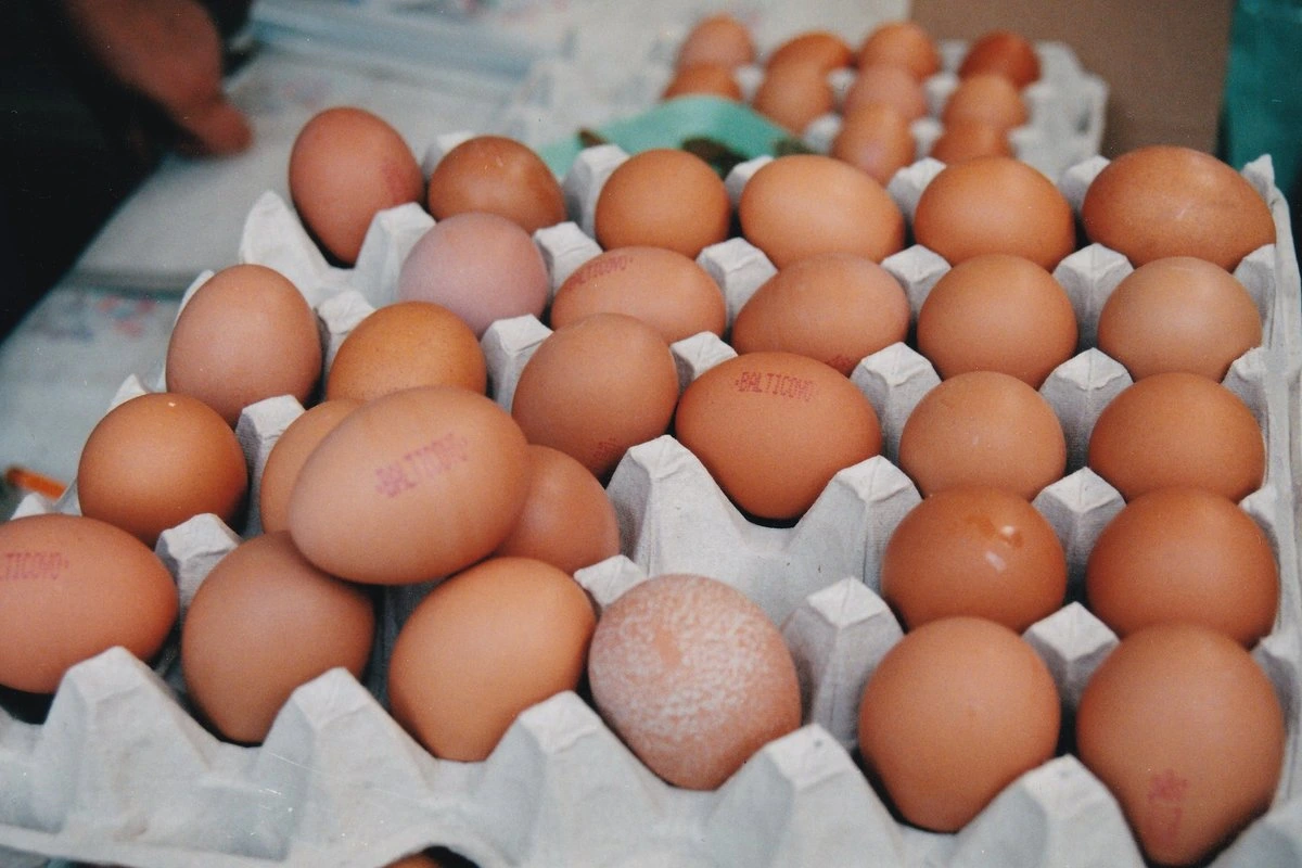 Базовые продукты станут дешевле. В Латвии снижают налог с оборота на хлеб, молоко, яйца и мясо птицы