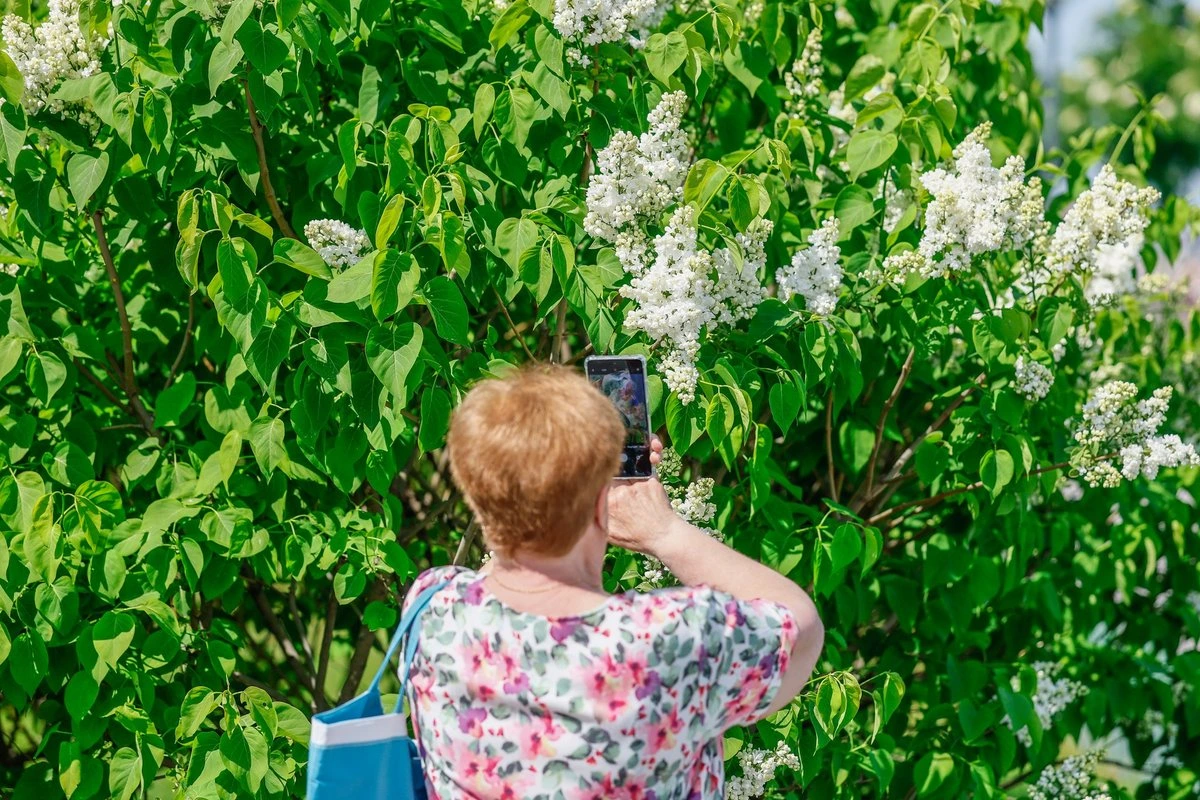 ФОТО | Первый жаркий день лета: четверг вывел людей на улицу – смотрите яркие кадры лета в нашей галерее