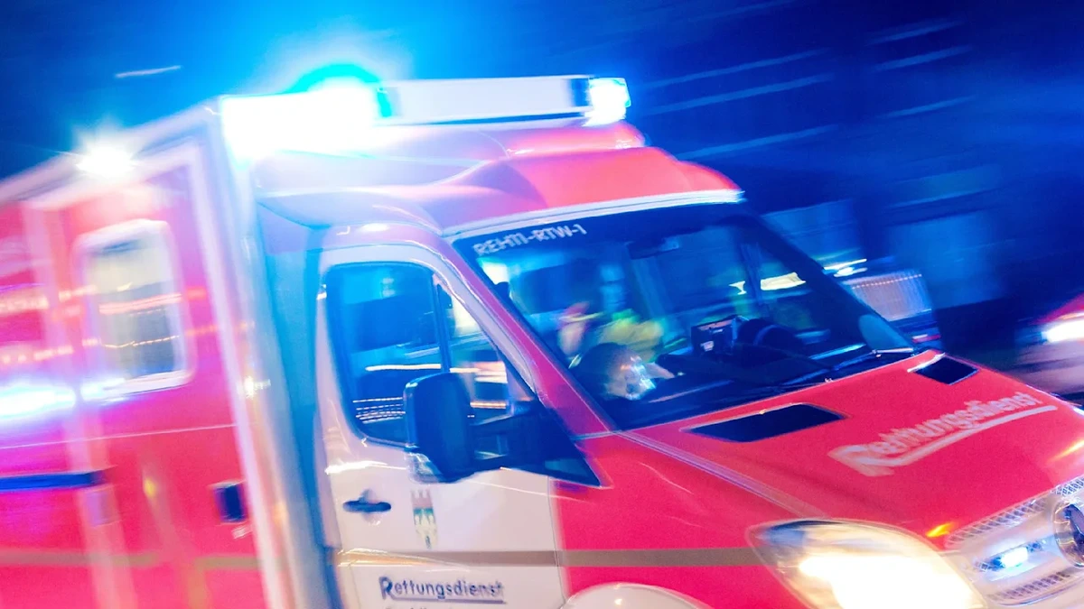 In Bayern: Teenager bei Holzarbeiten von Baum erschlagen