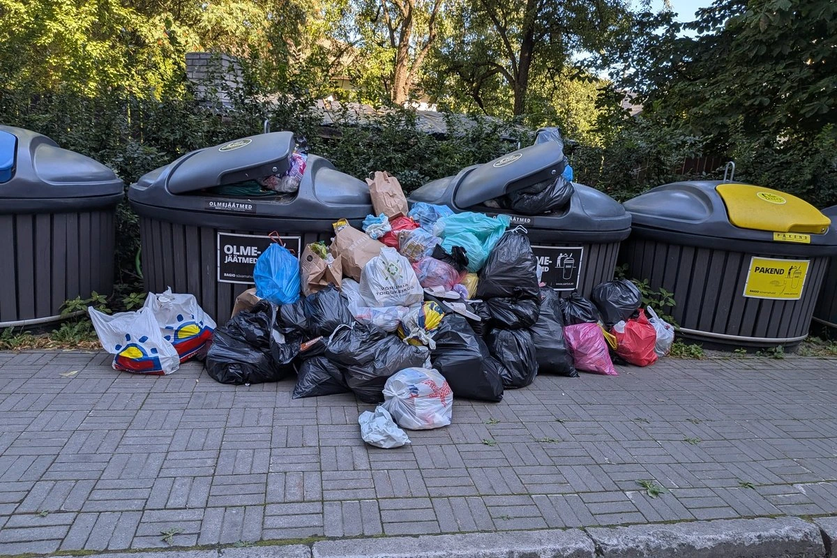 Под мусорным мешком был найден норвежский путешественник. По словам мужчины, у него украли документы