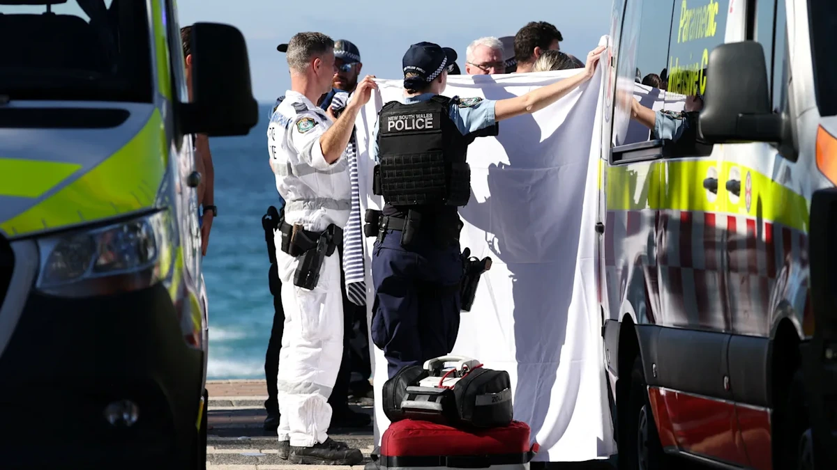 Dramatische Rettungsaktion: Hai beißt Schwimmerin in Arm und Beine