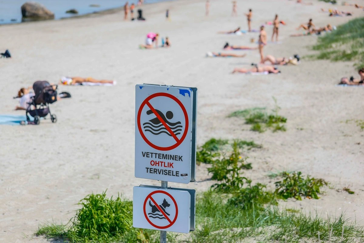 Открываем сезон! Вода в озере Харку и канале Анне не вполне соответствует норме, а что с другими водоемами?