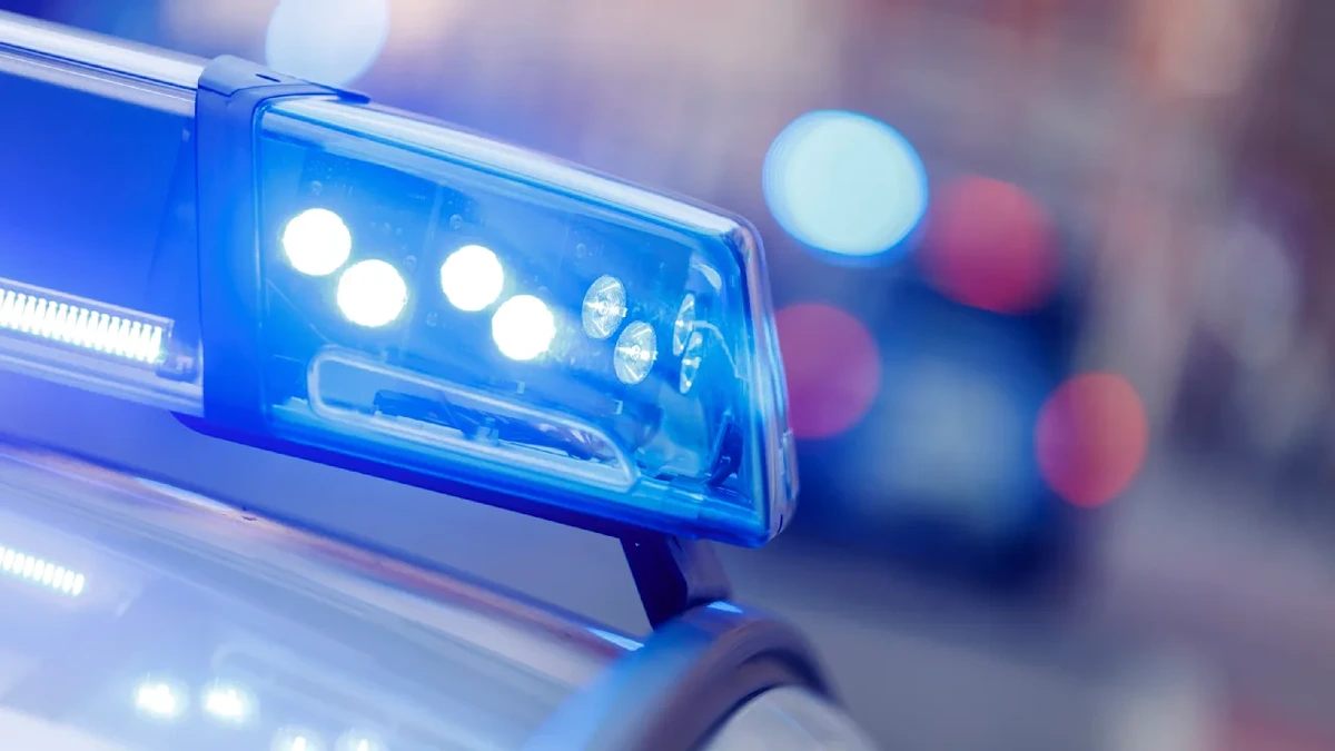 Babysitterin will Kind behalten, dann beißt sie Polizisten in die Hand