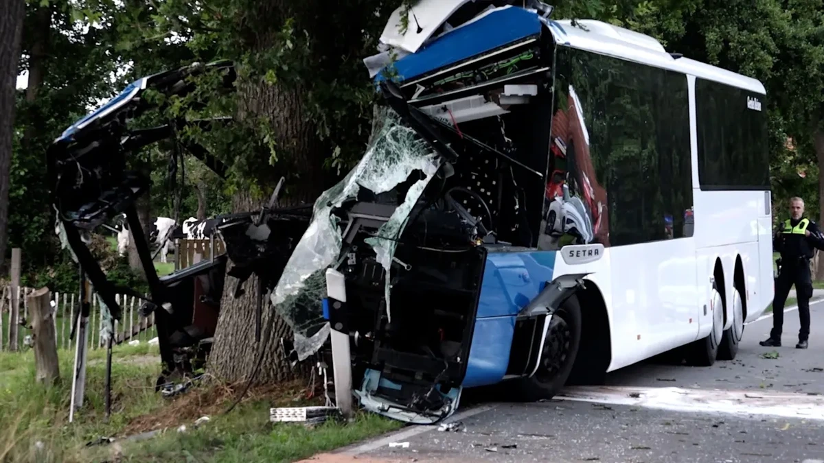 Ihr Lebensgefährte (69) saß am Steuer: Frau (59) stirbt bei Bus-Unfall