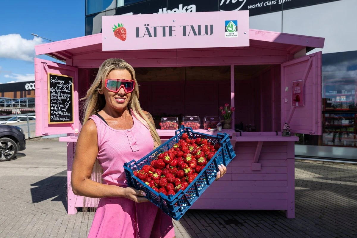 Мошенничество с клубникой продолжается. Систему противодействия за четыре года ни разу так и не применили