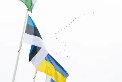 Опрос: большинство жителей Эстонии осуждают войну РФ, но поддержка Украины среди неэстонцев снижается