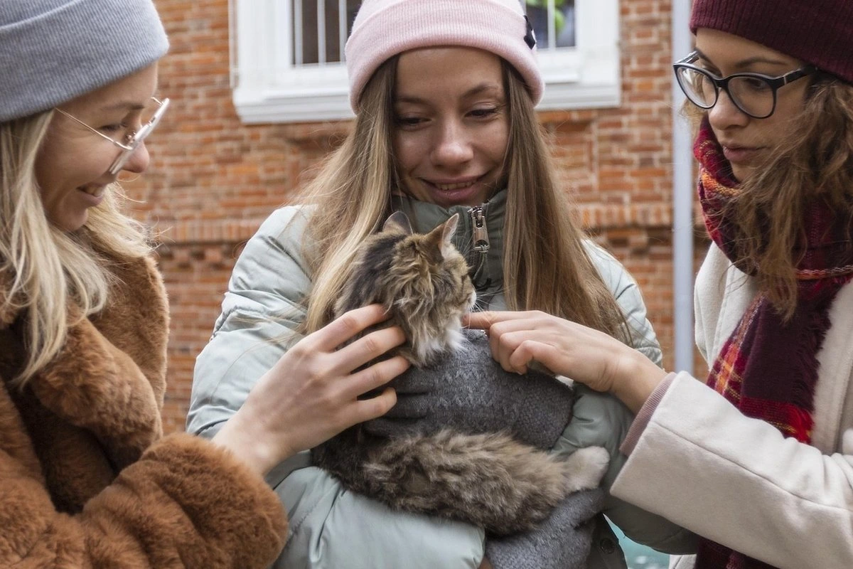 Хозяйка отдала кота на лечение, но обратно ей любимца уже не вернули