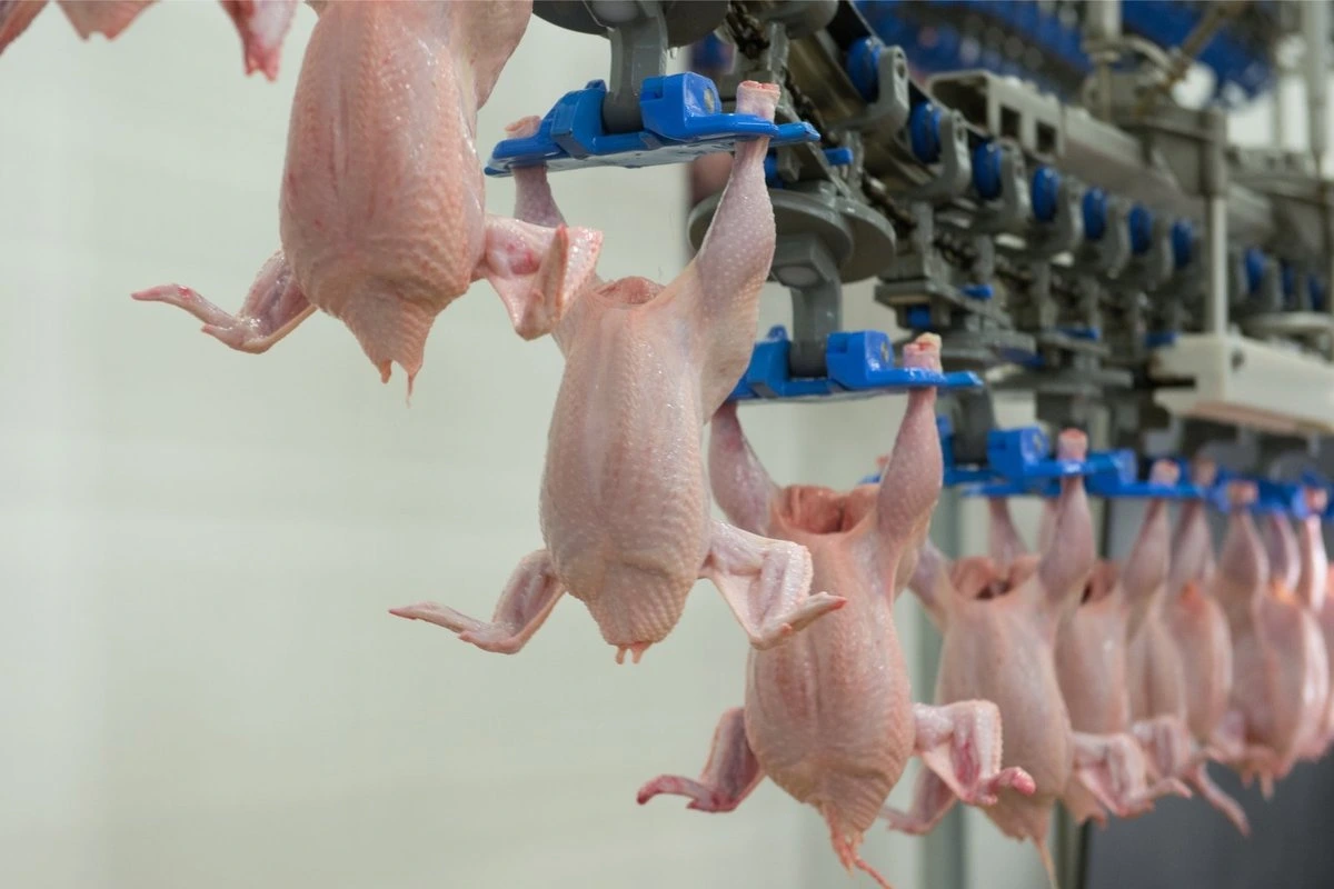 ОПРОС | 60% людей готовы платить больше за отечественные продукты. А вы?