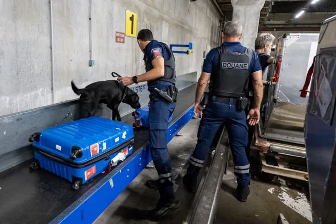 Saisies record dans les aéroports et services de police « saturés » : l’inquiétude des autorités devant l’essor du trafic de cannabis thaïlandais
