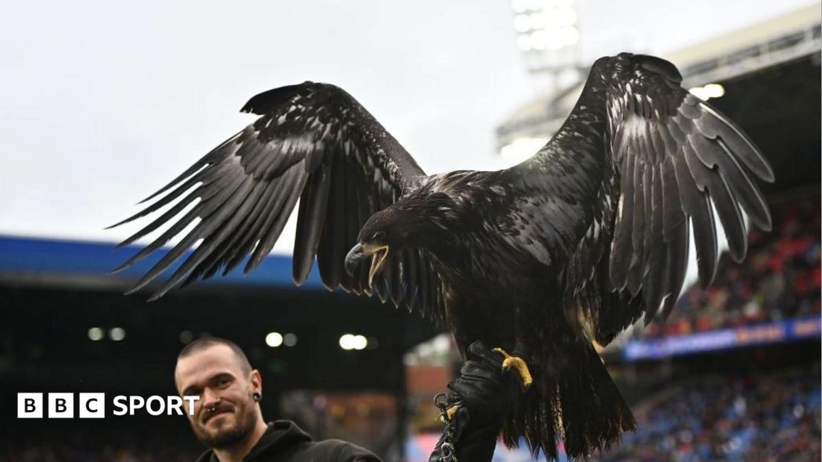 Crystal Palace urged to retire bald eagle mascot